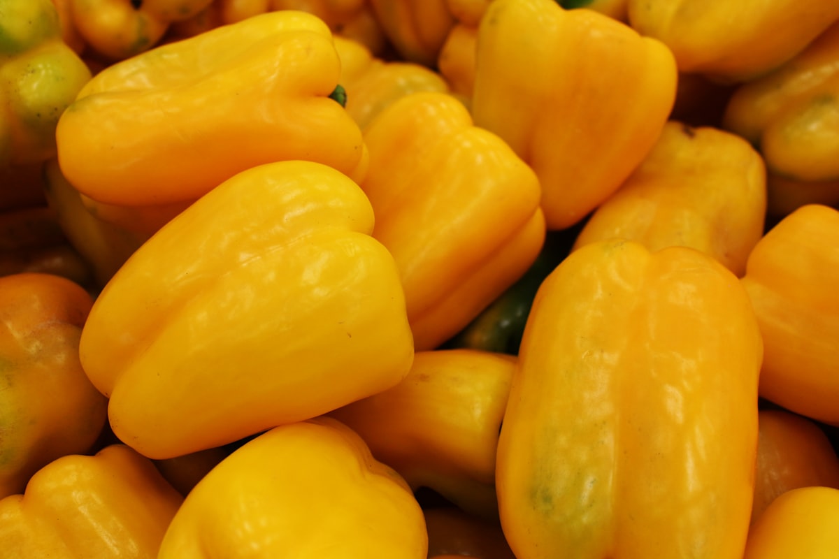 Verdure fresche e colorate